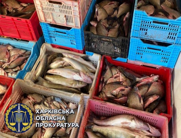 В Харьковской области браконьеры продавали тонны рыбы через супермаркеты (ФОТО)