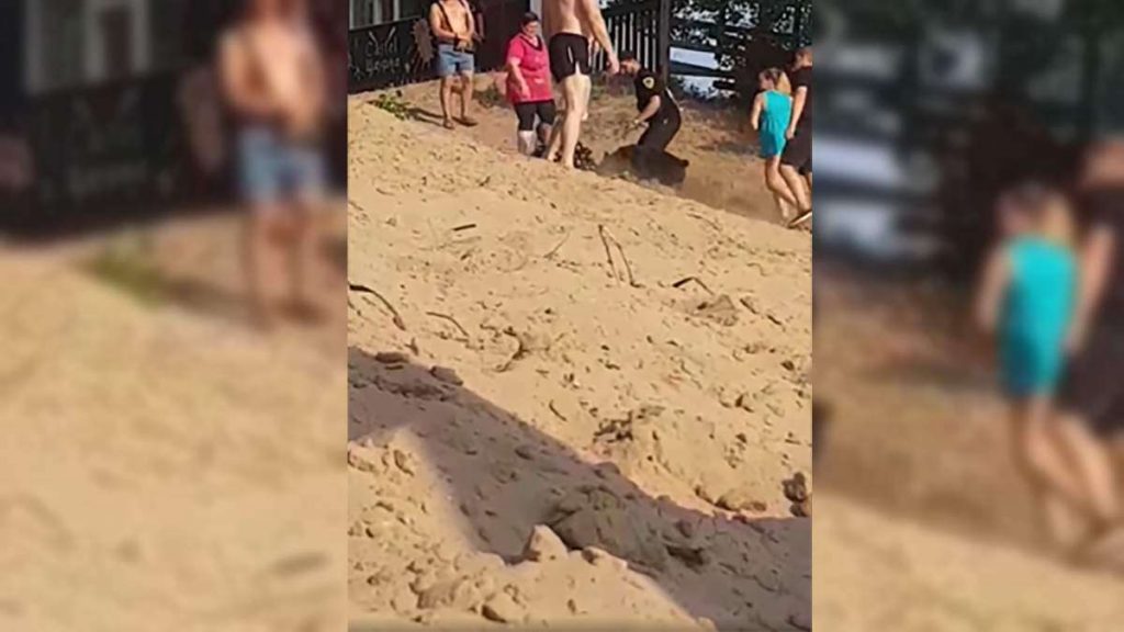 На Днепропетровщине ротвейлер охраны пляжа атаковал отдыхающего (ФОТО, ВИДЕО)