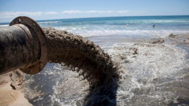 Эколог назвал основные факторы загрязнения Черного моря 