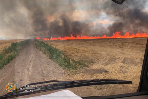 Под Кривым Рогом ликвидировали пожар на пшеничном поле (ФОТО)