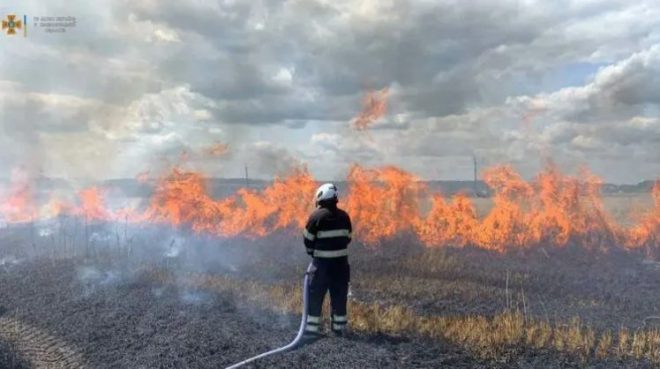В Хмельницкой области горело поле: упала линия электропередач (ФОТО, ВИДЕО)