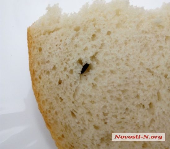 В Николаеве продают хлеб с тараканами (ФОТО)