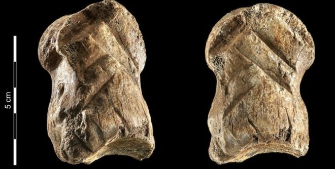 Искусство у неандертальцев: археологи нашли костяную статуэтку (ФОТО)