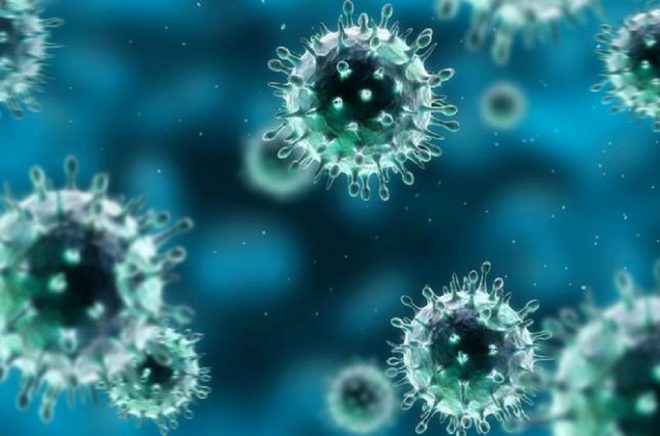 Австрийские ученые объяснили появление новых штаммов коронавируса