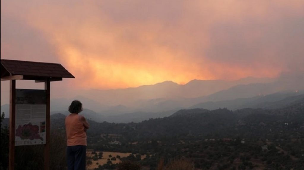 Масштабный лесной пожар на Кипре: 4 погибших (ФОТО)