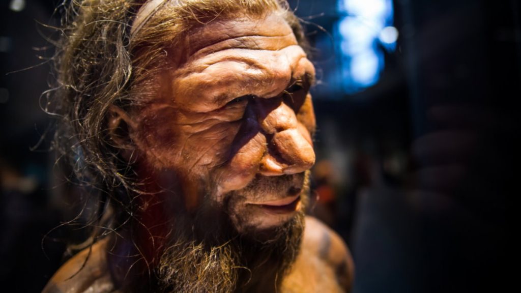 Простуда досталась жителям 21 века от неандертальцев &#8212; ученые