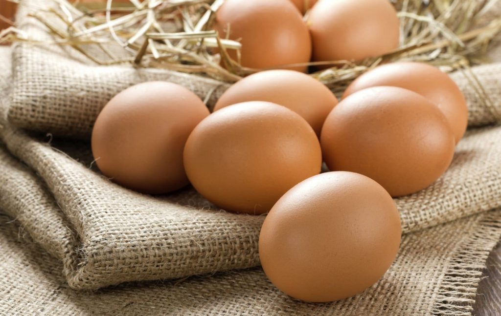 Врачи рассказали, как продлить в жару срок годности яиц: полезные советы