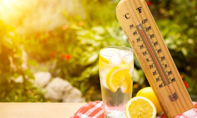 Диетологи назвали продукты, заряжающие энергией во время жары