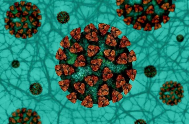 Фармакологи нашли новое средство от коронавируса