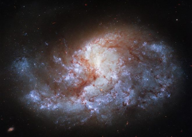Hubble сделал снимок галактики «в сердце Печи» (ФОТО)