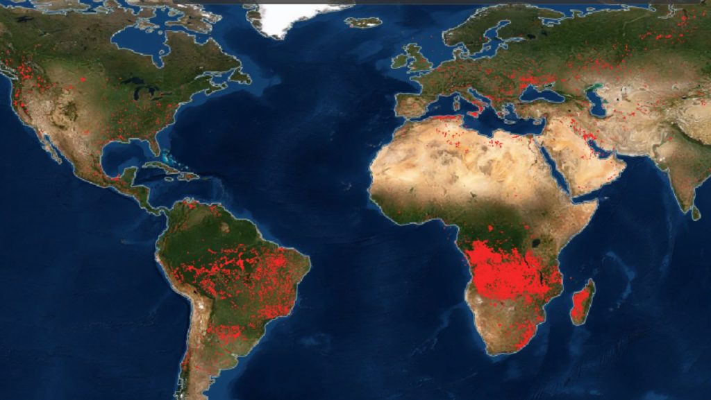 Лесные пожары: в NASA показали карту с горячими точками (ФОТО, ВИДЕО)