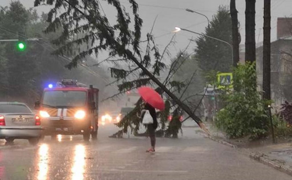 В Хмельницком ливень наделал бед: затоплены улицы и повалены деревья (ВИДЕО)