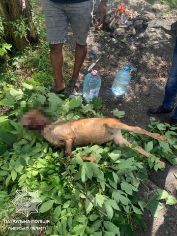 Во львовском парке иностранцы зарезали козу и хотели съесть ее (ФОТО) 