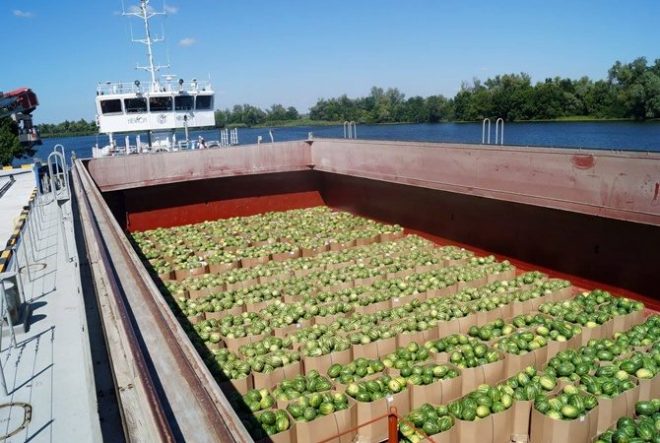 Стало известно, когда доставят херсонские арбузы на барже в Киев