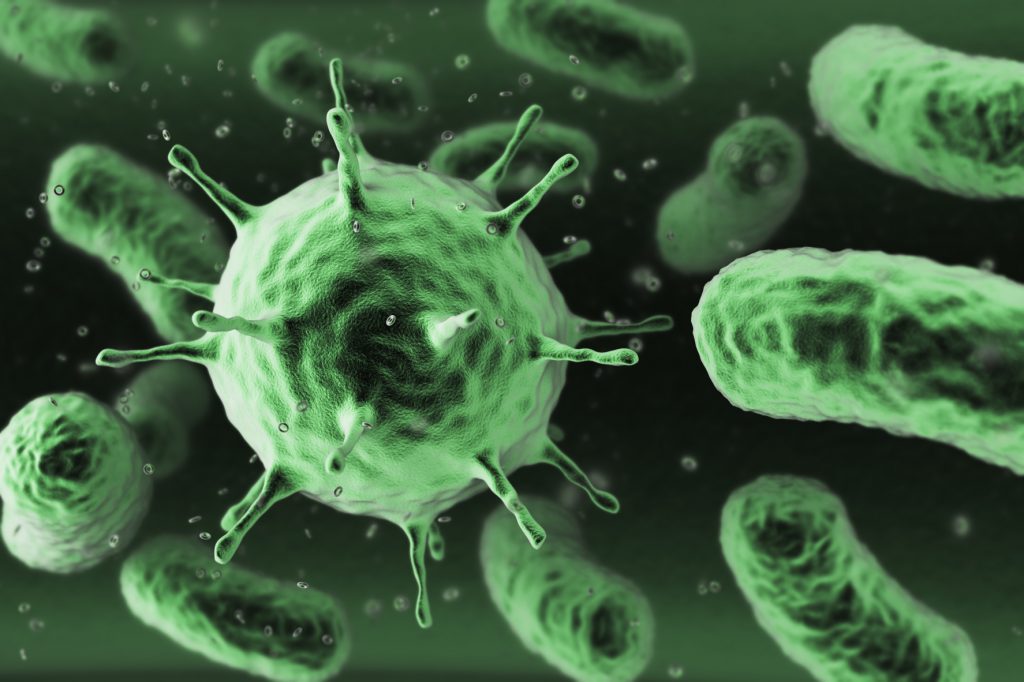 В кишечнике человека есть бактерии, продлевающие жизнь &#8212; ученые