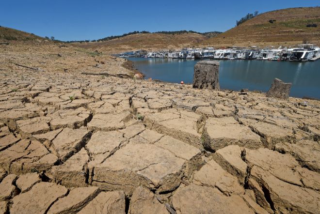 От исторической засухи в США пострадали семь штатов