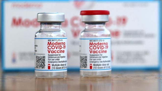 В Японии выяснили, что именно «отравило» вакцины Moderna