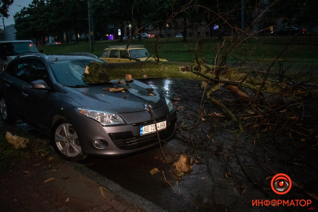 В Днепре дерево во время ливня рухнуло на Renault (ФОТО)