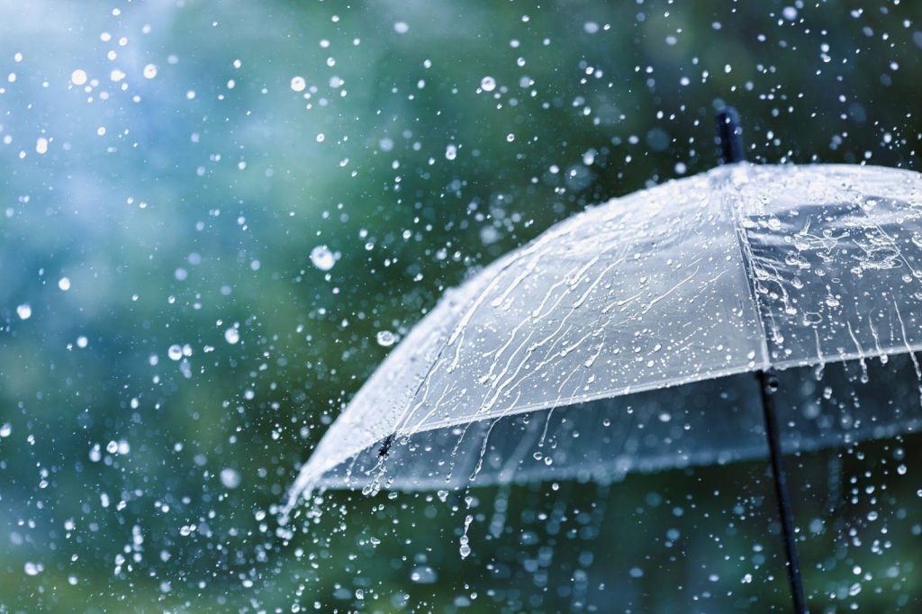 Последний день лета в Украине будет дождливым: прогноз погоды на 31 августа