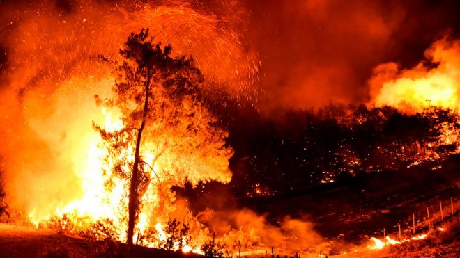 Пожары в Турции: еще больше курортов оказались в огне (ВИДЕО)
