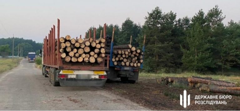 Изгнанного Зеленским Бондаря возвращают управлять украинскими лесами, &#8211; СМИ