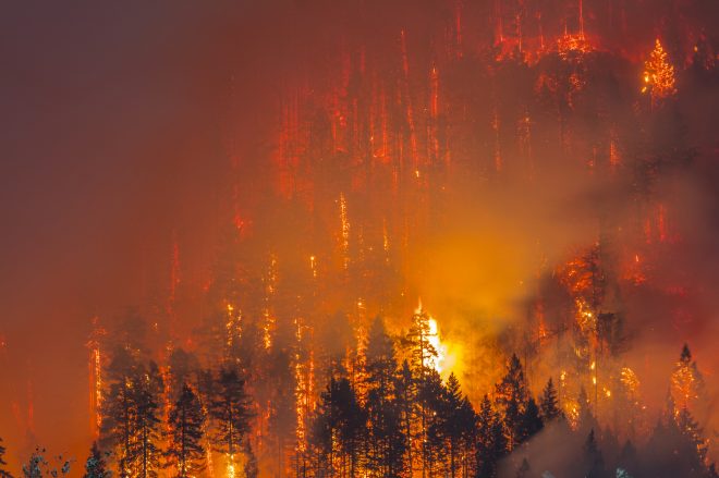 В Европе продолжаются пожары: огонь достиг Хорватии и Черногории (ФОТО, ВИДЕО)