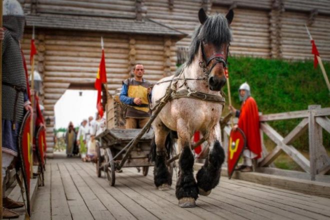 Под Киевом на Спас покажут конное шоу (ФОТО)