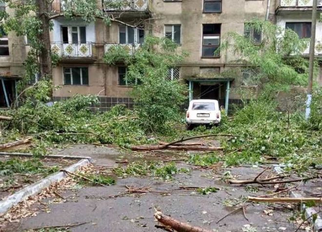 Ураганом под Одессой вырвало деревья, повреждены крыши домов (ФОТО)