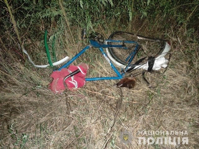 В Херсонской области грузовик насмерть сбил военного на велосипеде (ФОТО)