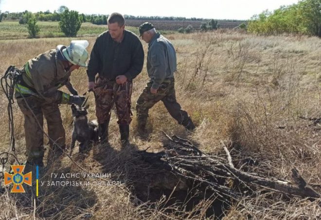 В Запорожской области спасали собаку из 10-метровой ямы (ФОТО)