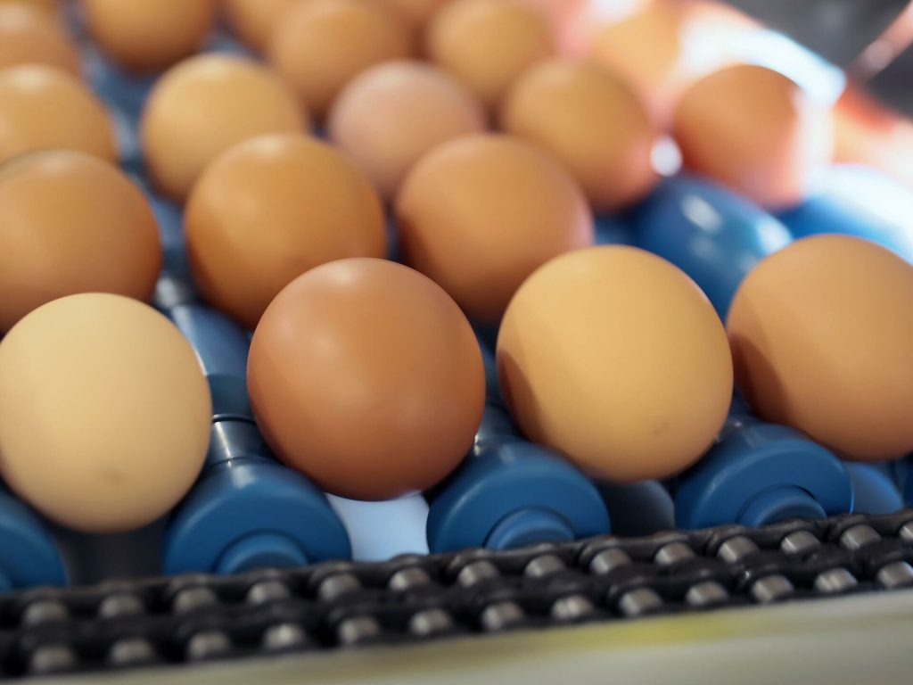 Ученые опровергли миф о вреде яиц