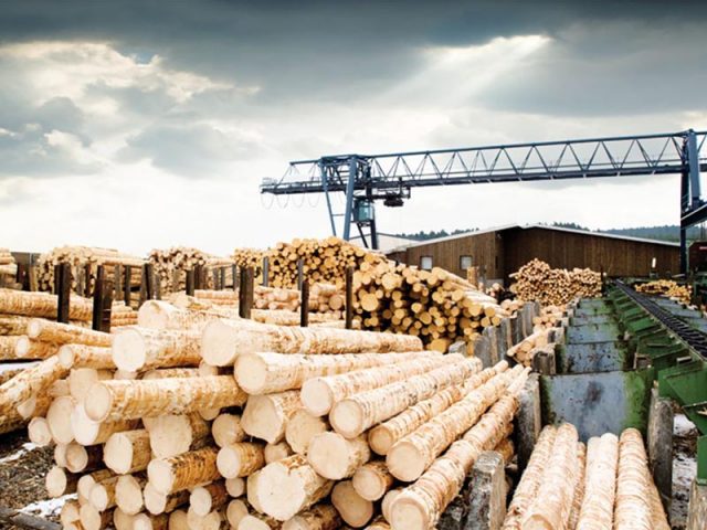 Поставки древесины из Украины больше интересуют ЕС &#8212; эксперт