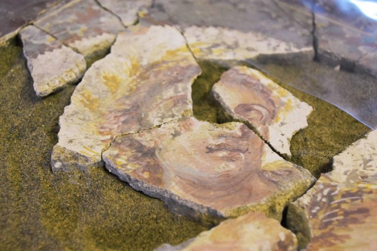Роботы восстановят разрушенные фрески в Помпеях