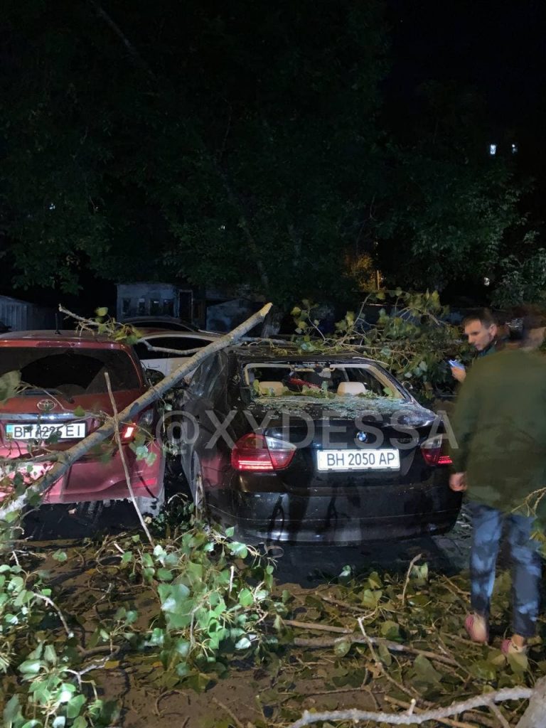 В Одессе упавшее дерево повредило 8 автомобилей (ФОТО)