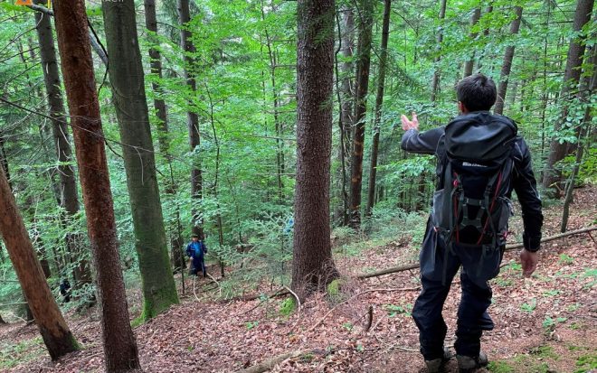 На Буковине в лесу нашли мертвым 60-летнего грибника