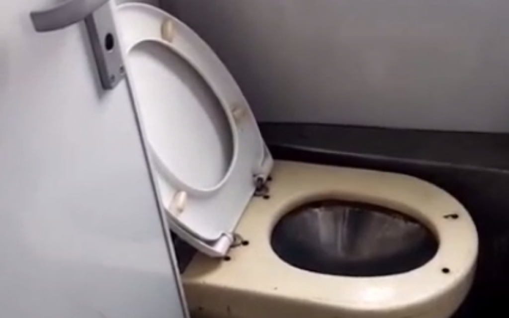 Так и сердце может остановиться: Пассажиров «Укрзализныци» шокировали новые туалеты