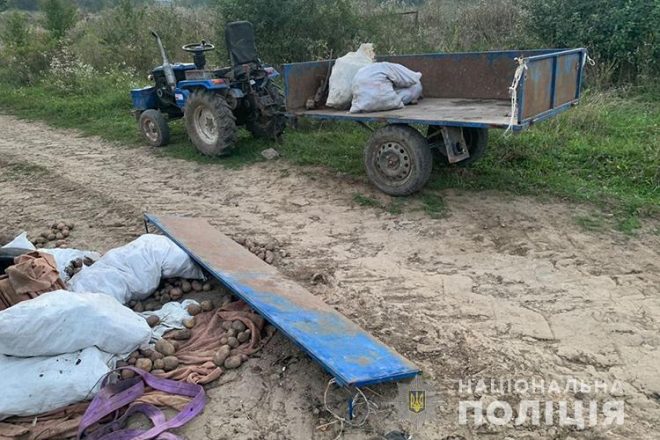 На поле в Тернопольской области «Волга» столкнулась с трактором (ФОТО)
