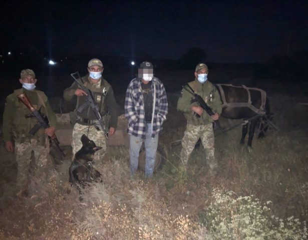 Одесские пограничники задержали нелегала на телеге (ФОТО)