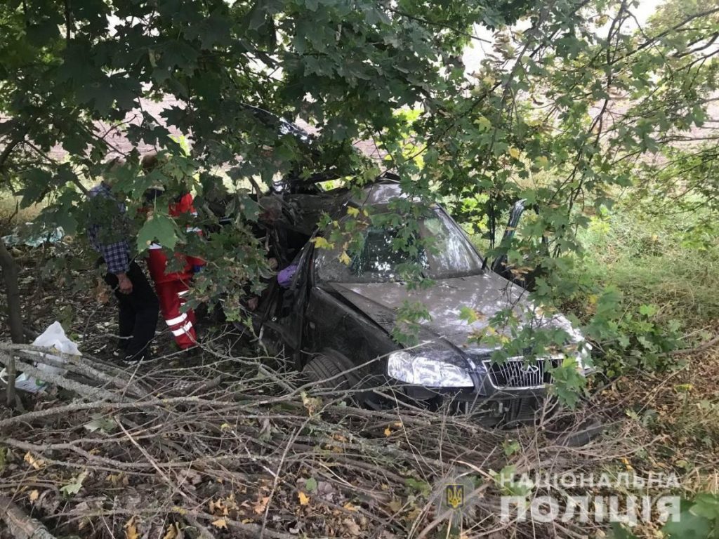 На Киевщине Cherry врезалась в дерево: от удара пассажирка отлетела в багажник (ФОТО)
