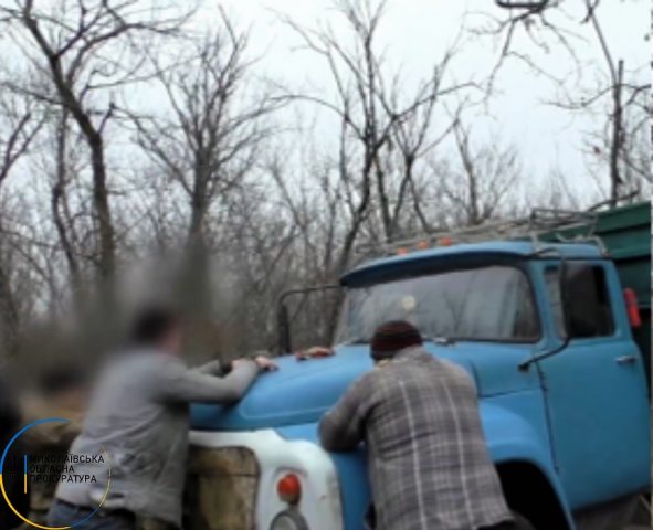 В Николаевской области будут судить банду «черных» лесорубов (ФОТО)