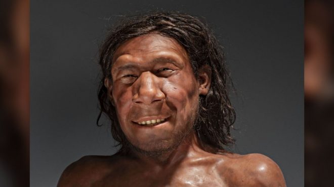 Воссоздано лицо молодого неандертальца