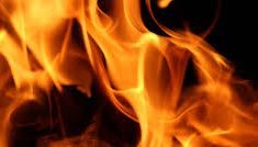Жительница Прикарпатья передала детей через окно и погибла в огне пожара в заблокированном доме
