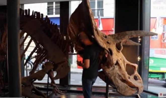 На французском аукционе продают скелет огромного динозавра (ФОТО, ВИДЕО)
