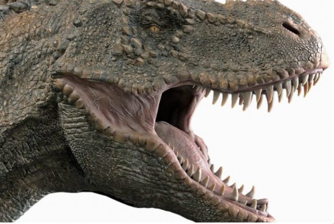 В Узбекистане нашли «царя» динозавров (ФОТО)