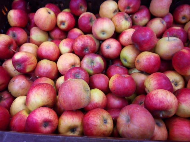 Яблоки помогут приучить себя к здоровой еде &#8211; ученые