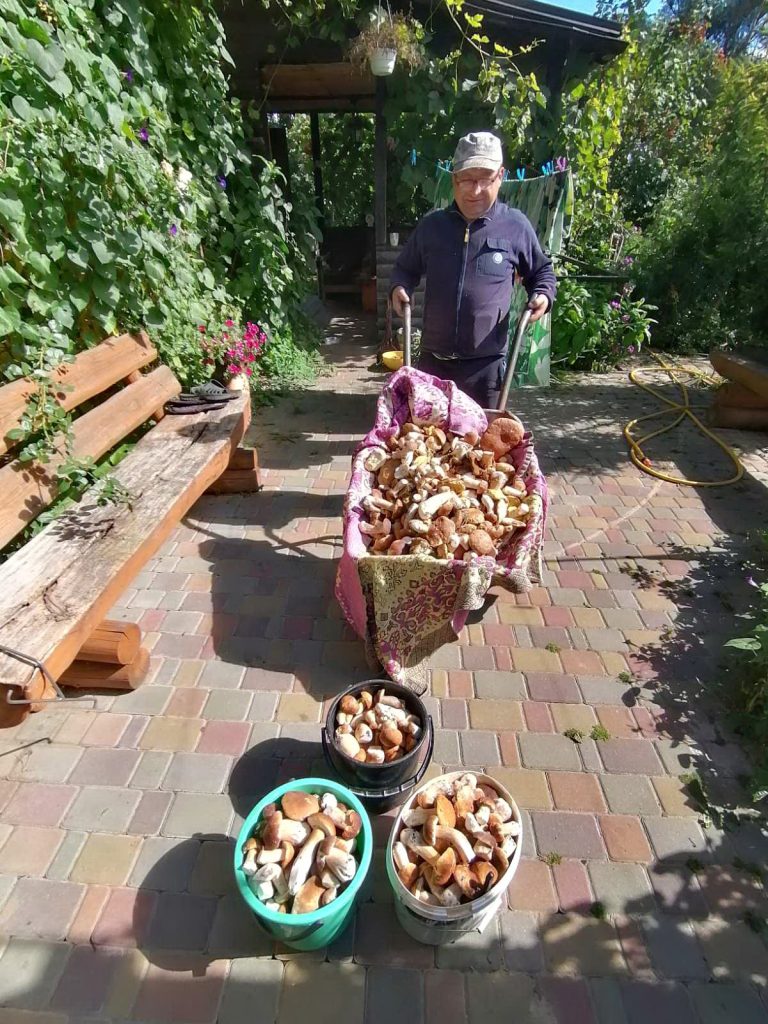 В Украине &#8212; грибной сезон