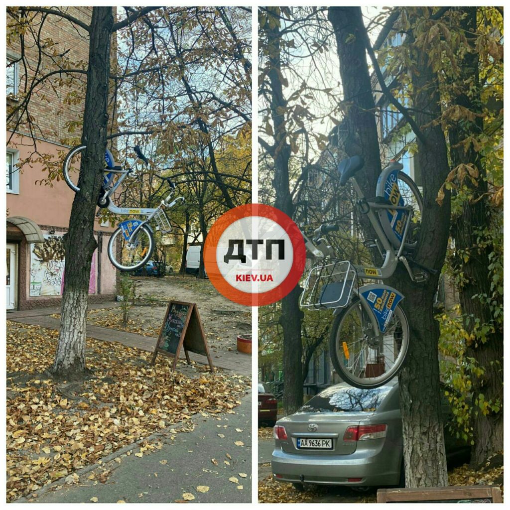 В Киеве «шутники» припарковали прокатный велосипед на дереве (ФОТО)