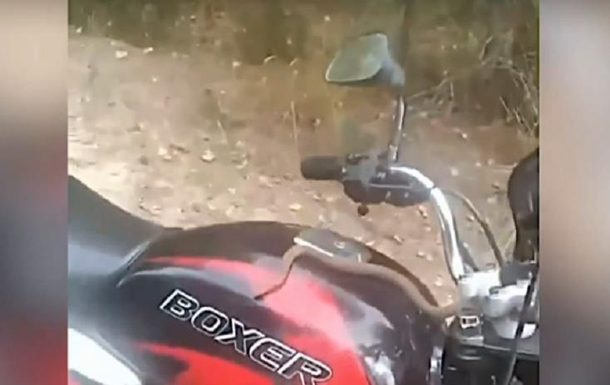 В Ровенской области змея набросилась на мотоциклиста (ВИДЕО)