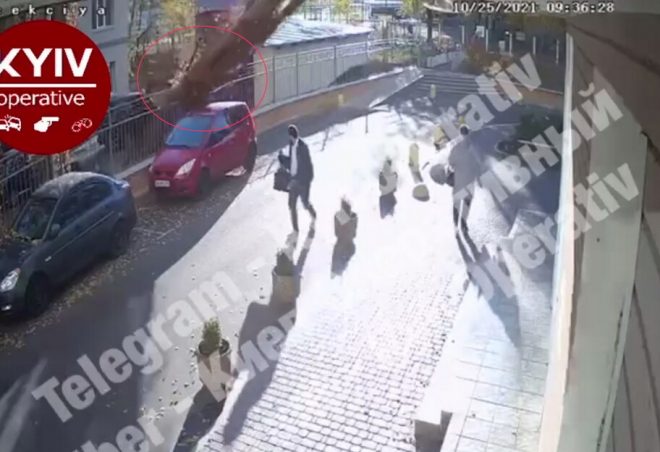 В Киеве на авто упал огромный тополь: люди чудом не пострадали (ВИДЕО)