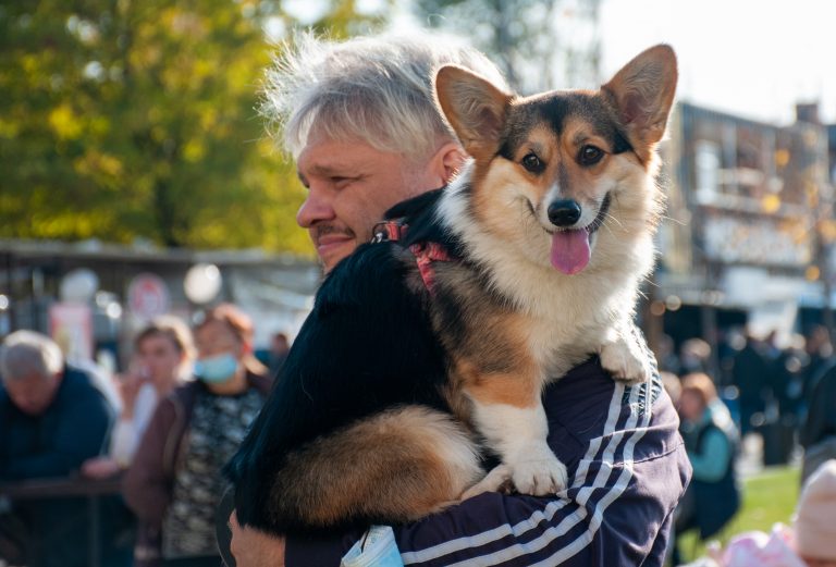 В Харькове состоялся международный фестиваль собак Club №1 Fest